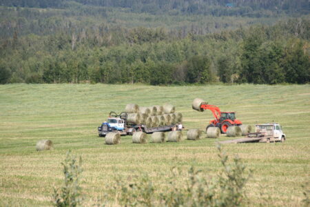 Image of a farm field with tractors loading hay bales in the spring. The link takes you to the image page with another link to see the image at full size.